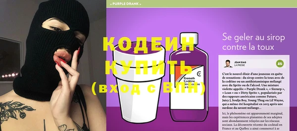 индика Липки