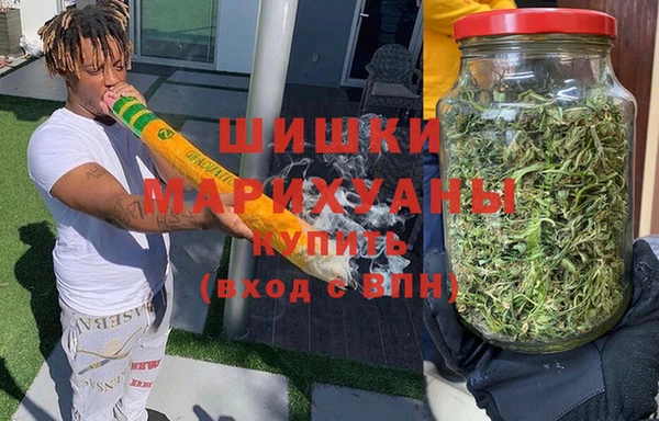 индика Липки