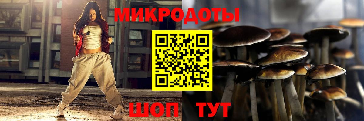 Рассказово  Псилоцибиновые грибы Magic Shrooms  Вход с VPN  Псилоцибиновые грибы Magic Shrooms 